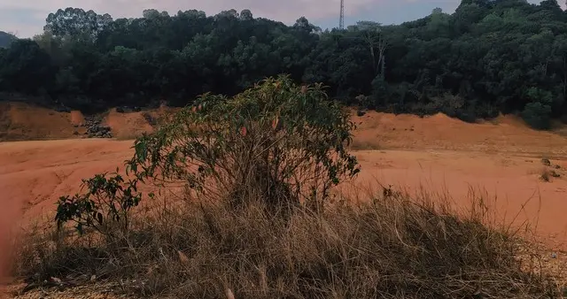 夏朝启：传说中的“开山祖师”，究竟是不是个“传说人物”？