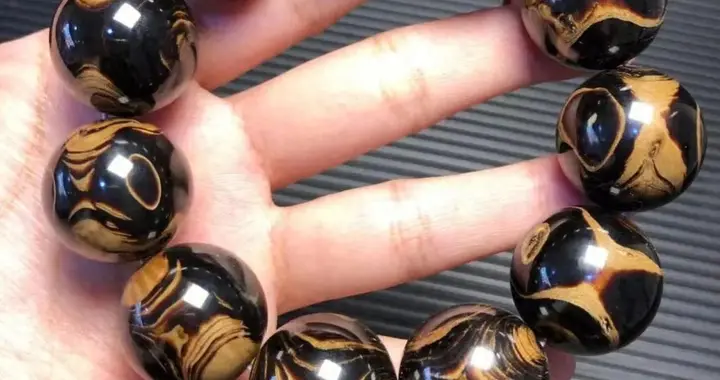 文玩海柳原来是合法的？几十年的大误会