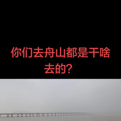 城东春天：去舟山都是干啥去的？