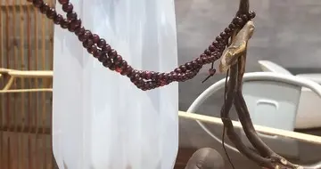 千金易得，信任难求：把日子过暖，就是最好的答案
