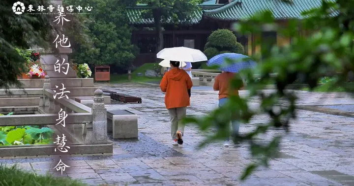亲得离尘埃，子道方成就。