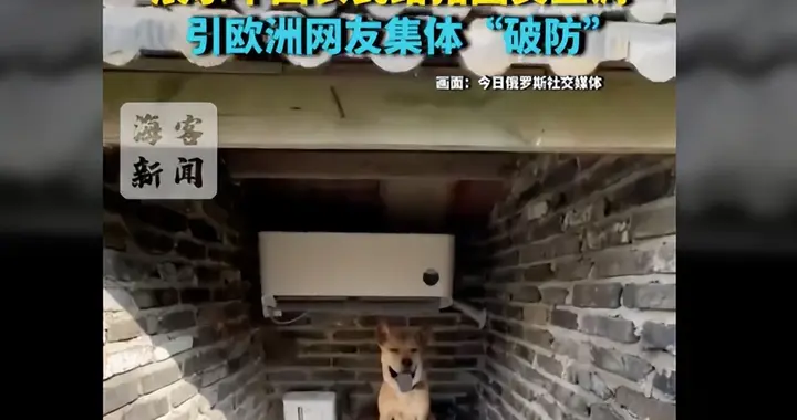 欧洲眼馋中国，养猪场都有空调，中国户平均超1.5台，你拖后腿么