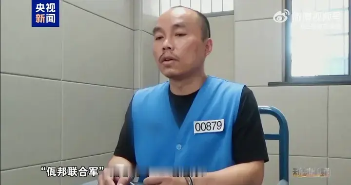 不骗人就挨打、骗了就是共犯，园区把受害者驯成狗推，回国这样判