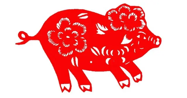 不管你信不信，生肖猪：5月25号（星期一），大事即将发生！