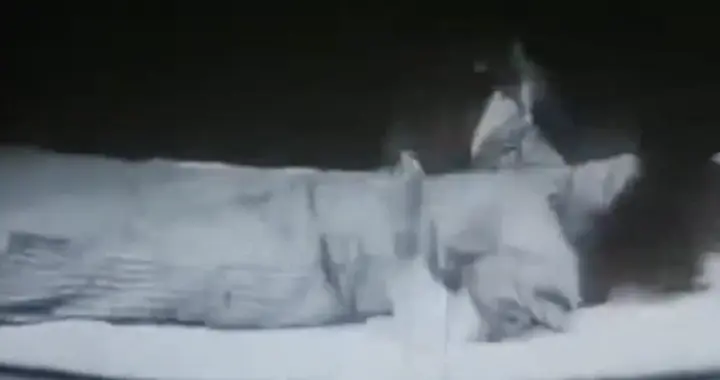 日本水俣病事件：排海污水导致2万多人终身带病，上千人死亡