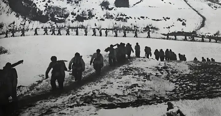 1951年，志愿军司机弄丢一车高粱米，却拉回一车熟睡的美军立大功