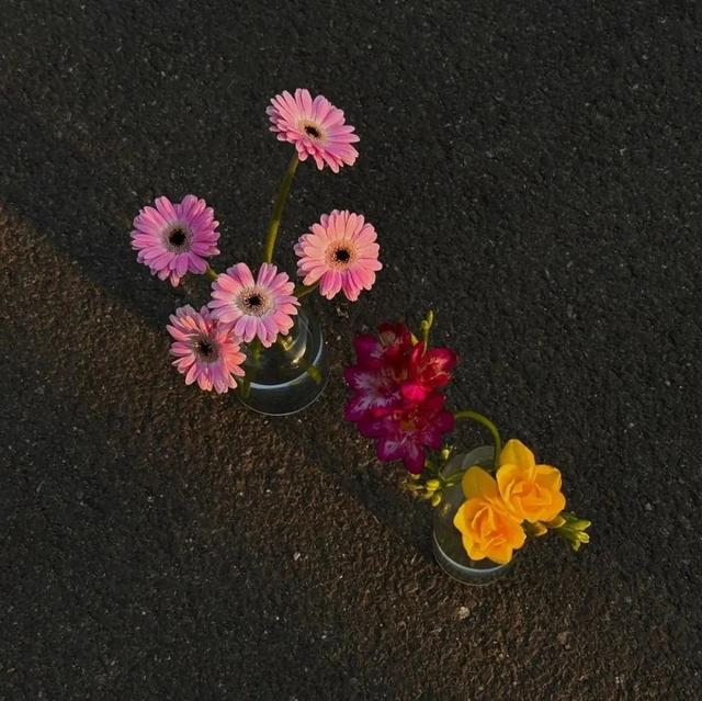 "九字朋友圈文案，太绝了"