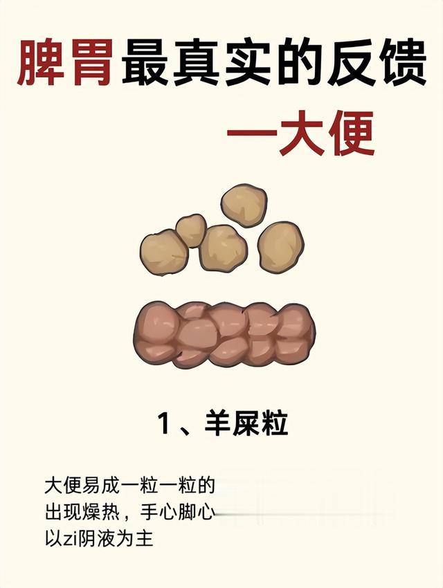 脾胃最真实的反馈——大便