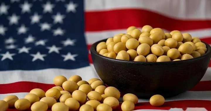 美抱怨大豆采购停滞，派军机飞越台海，要对华加新关税，中方回击