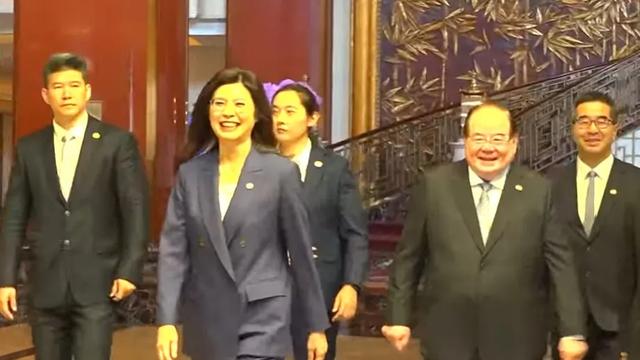 灵山儿119：郑丽文访问大陆最高光时刻即