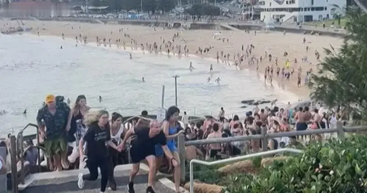 回顾：23年澳洲海滩堆起数万死鸟，排查月余才找到真凶