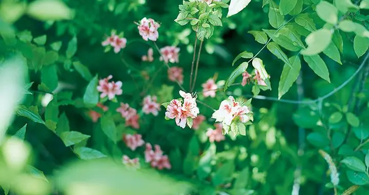 那个打碎碗的下午，47岁的她决定不再当好妈妈了