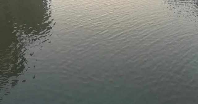39℃高温持续烘烤昆山！湖水河道看着凉快，水下藏着夺命陷阱