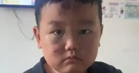 浙江3岁被撞男娃火了！小名叫彬彬，单亲家庭，与爷爷奶奶不亲厚