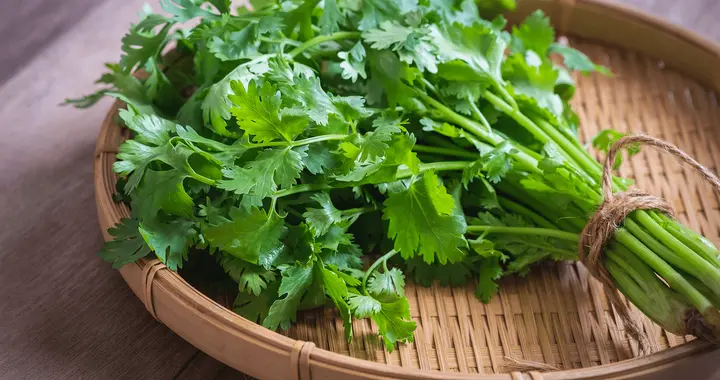 香菜是血压的“杀手”？医生劝告：要想血压波动小，忌口8种菜