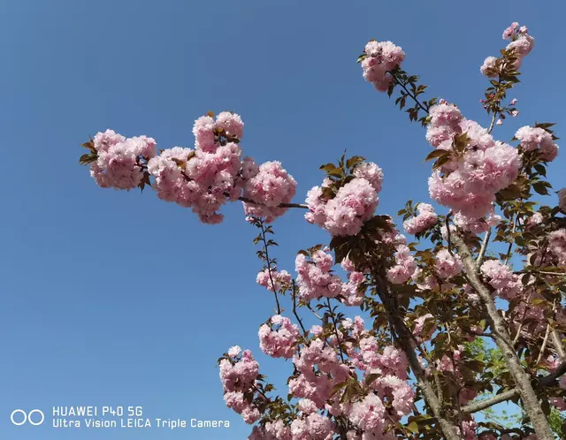 动动身子就养生