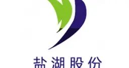 探讨盐湖股份25年惊人业绩的缘由，并展望26年经营趋势！