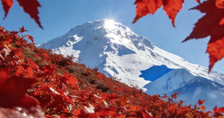 被炸死的7岁伊朗女孩！