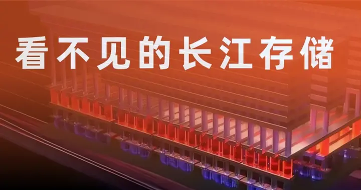 看不见的长江存储
