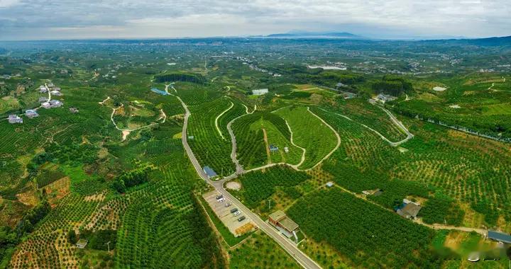 从学生专线到一元契约 城乡融合的丹棱叙事