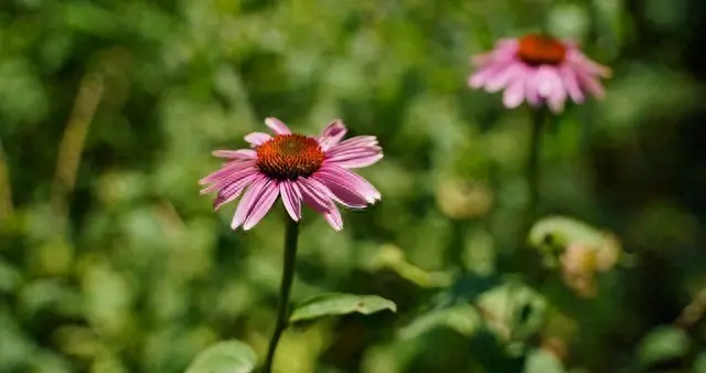 她没说喜欢你却总在时间上让步；她说的话平平无奇，但件件都是你