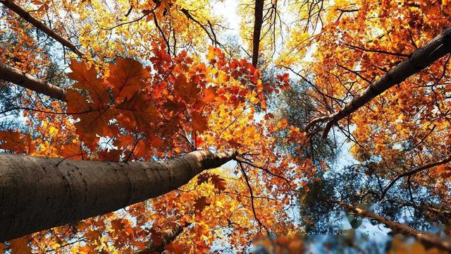 揭秘两性交往：男人用力过猛的话，女人为何觉得很上头？