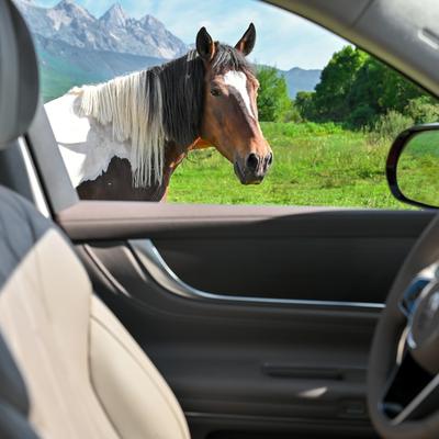 科技动态圈：问界M9的销量长跑，夯实了鸿