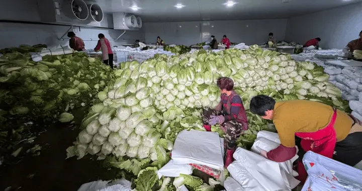 食品安全需要严厉打击中间流通环节违法，才不会总让农民背锅