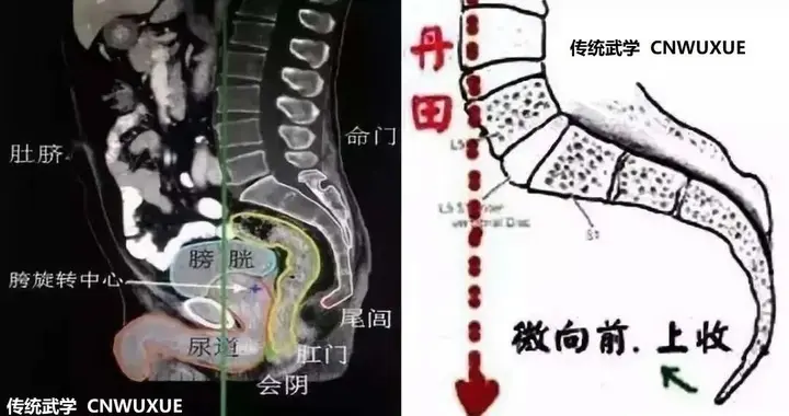 内家拳秘不多传之密－－－气机修炼（尾闾四部功）