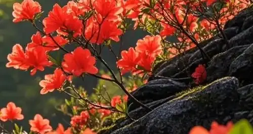 三种阅读方法：构建属于你的认知操作系统