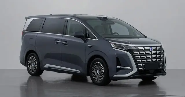 新腾势D9纯电版申报图曝光 双前脸＋340kw电机