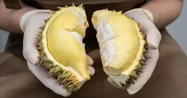 榴莲突然被热议！医生：常吃榴莲的人，身体可能收获5个变化