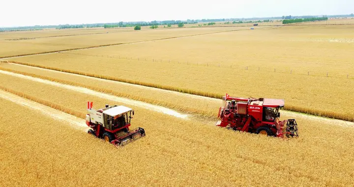 2025年粮食大增产：突破1.4万亿斤的历史纪录