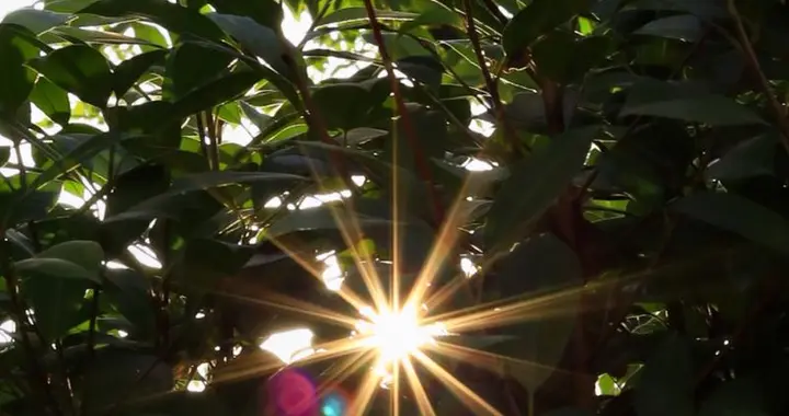 用物理解释星芒现象