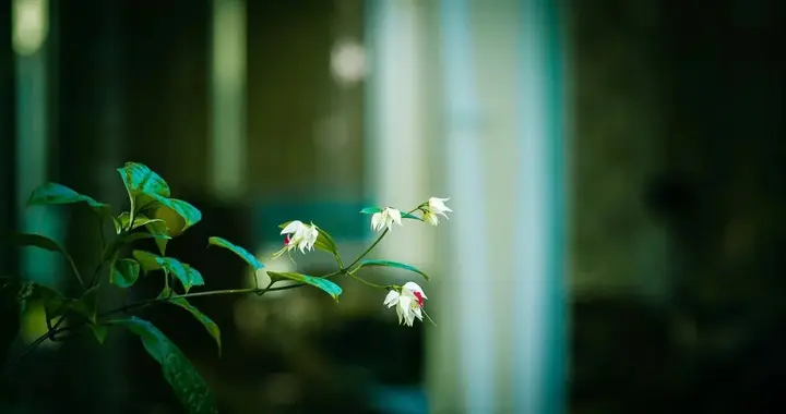 女人高嫁的唯一方法：升维