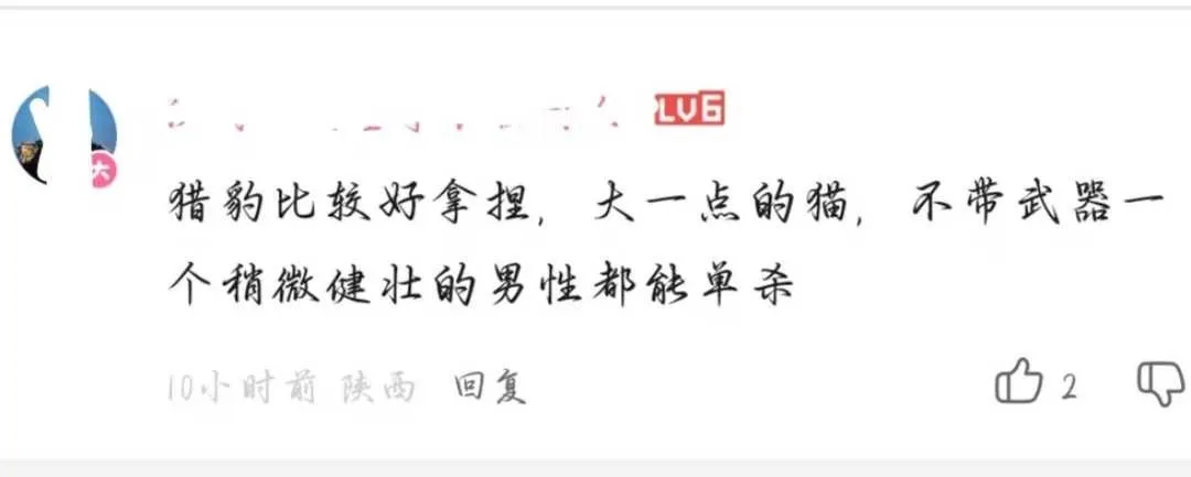 tg好好笑啊