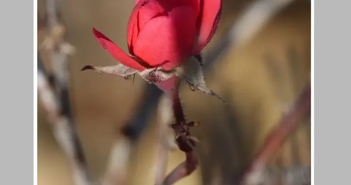 一针见血戳破人性的13句话，句句扎心
