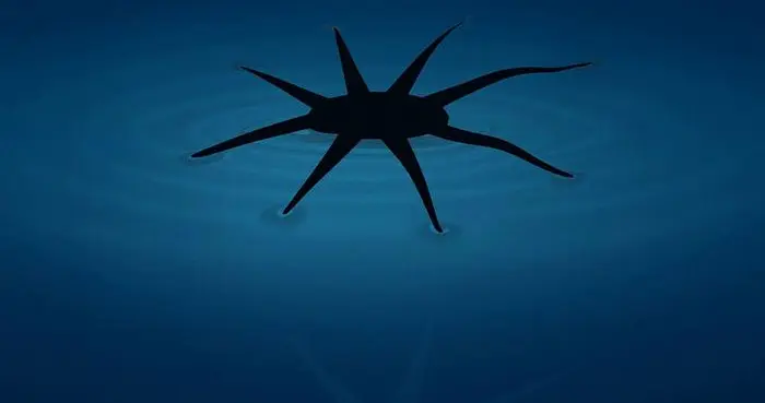 水上漂“软蜘蛛”机器人！液面上直接打印，能走能转弯 | 光锥读论文