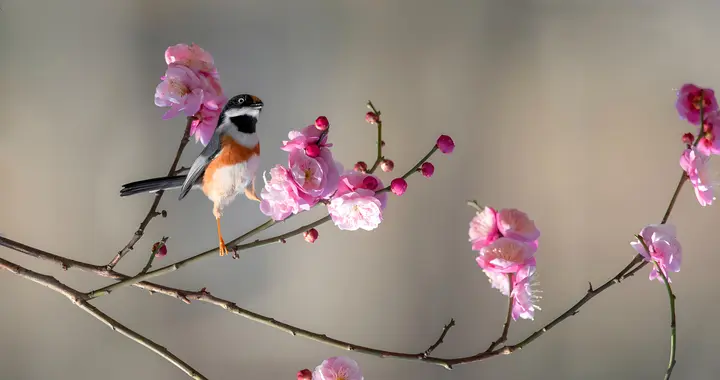 嘴，是你最贵的东西