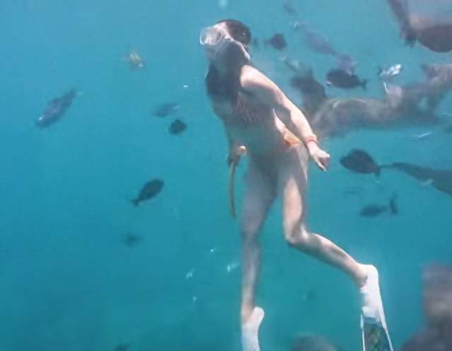 女子生理期潜水被鲨鱼咬伤：拿命博流量，这届网红的心是有多大？