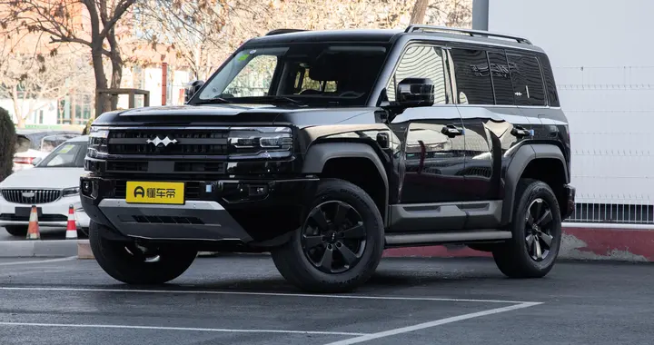 城野皆从容，优选方程豹豹5