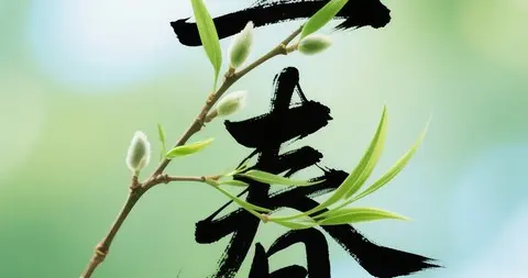 “公立春，无雪过年；母立春，春节冻哭”，今年立春是公是母？