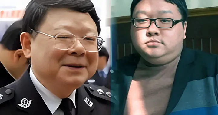 他是文强的儿子，父亲被执行死刑母亲被判8年，他的人生现状如何