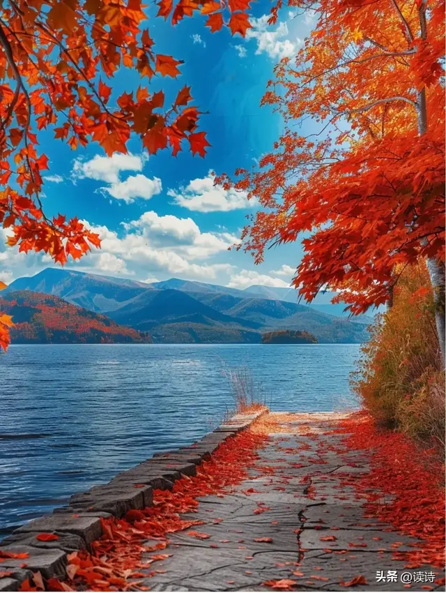 一定要背下20句落入凡间的神仙诗词，只读一遍就醉了，字字惊鸿～