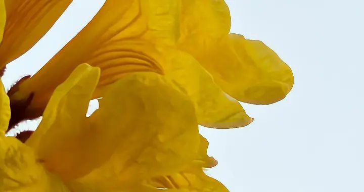 藏好自己，是最高级的自保