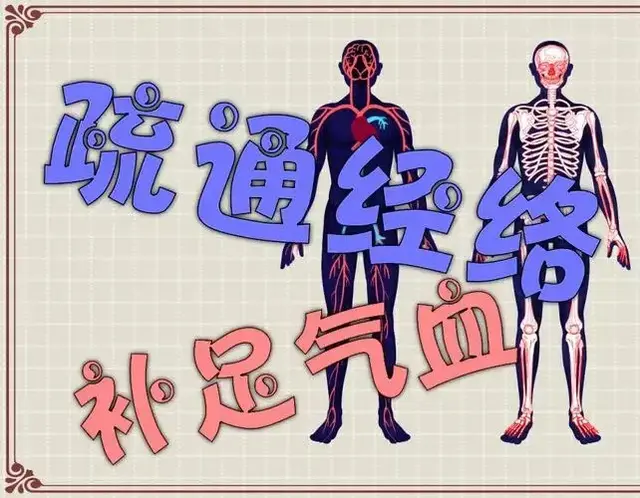 川断是疏通气血筋骨的第一药