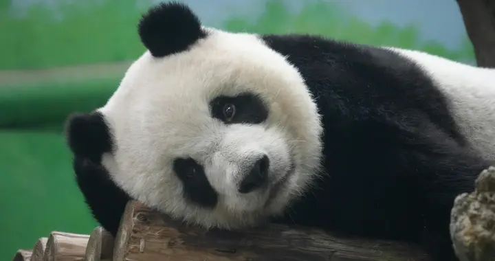 第202604期：交易赚钱的逻辑