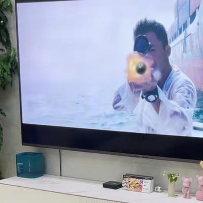 乖风破浪：狗狗全神贯注看电视，画面里出现