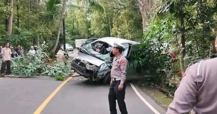 印尼巴厘岛车祸5名中国同胞遇难，总领馆紧急救援中