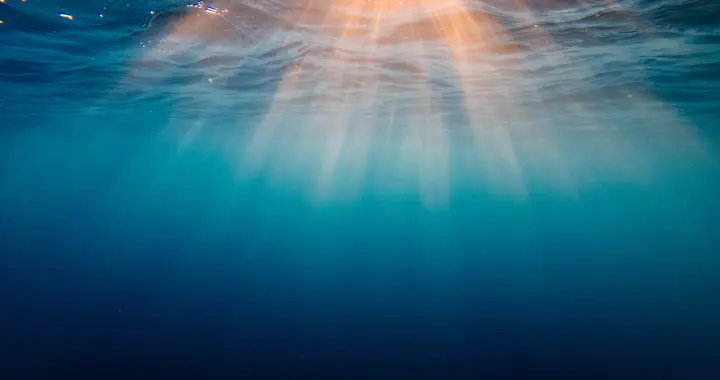 真正的领导力，是让人舒服的追随